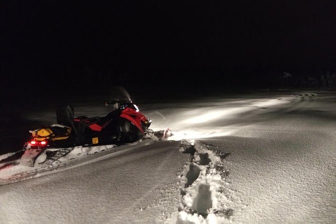 Northern Lights Night by Snowmobile (private tour) - An In-Depth Look at the Northern Lights Night by Snowmobile Tour