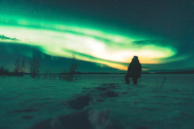 Northern Lights Photo Expedition Dinner Included from Abisko - Who Should Consider This Tour?