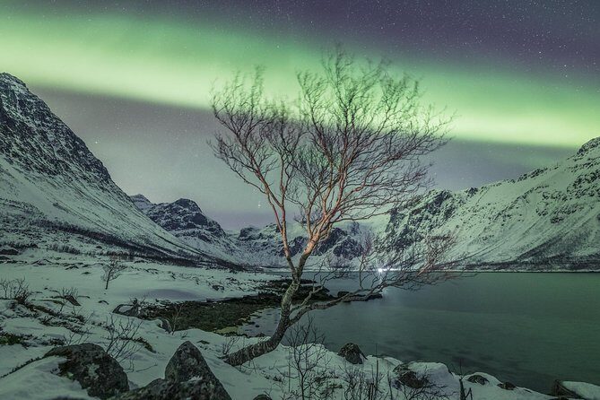Northern Lights Private tour with your special ones - Greenlander - Deep Dive into the Itinerary