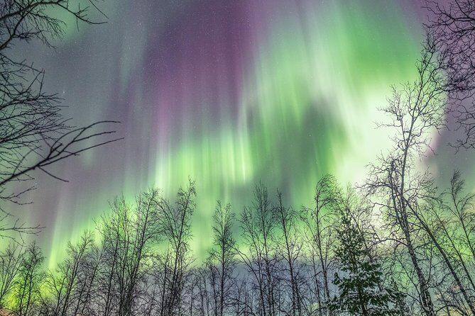 Northern Lights Private tour with your special ones - Greenlander - The Value of This Experience