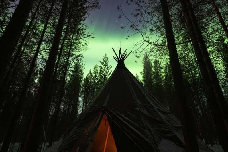 Northern Lights & Reindeer Experience - Why This Tour Might Appeal to You
