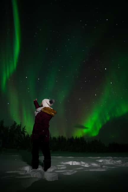 Northern Lights Reindeer Sledge Ride - An In-Depth Look at the Experience