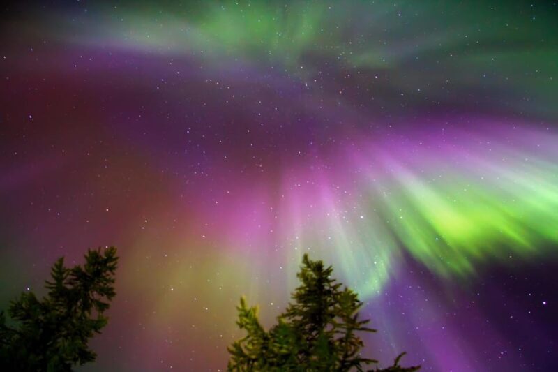 Northern Lights Reindeer Sledge Ride - Final Thoughts