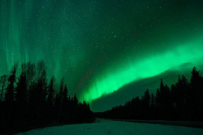 Northern Lights Rovaniemi: Guaranteed Viewing & Unlimited Mileage - What This Tour Offers
