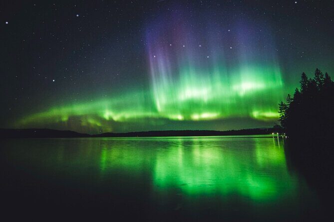 Northern Lights Rovaniemi: Guaranteed Viewing & Unlimited Mileage - The Price & Value