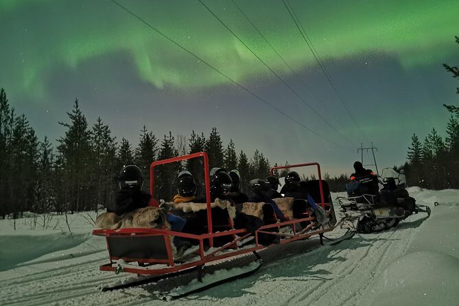 Northern Lights Sledge Ride - What This Tour Offers