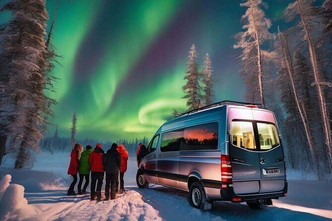 Northern Lights Small Group Tour from Reykjavik - Who This Tour Is Best For