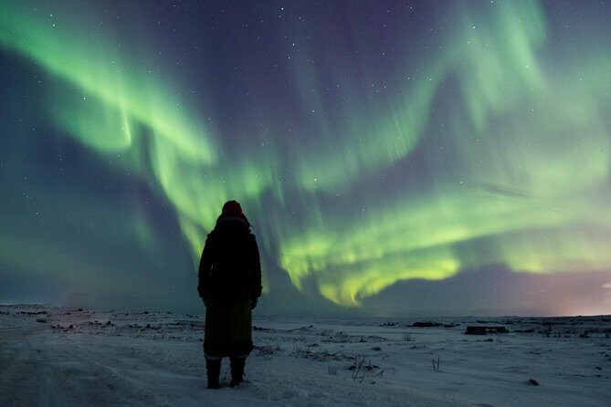 Northern Lights Small Group Tour from Reykjavik with Free Photos - What You Can Expect from the Tour