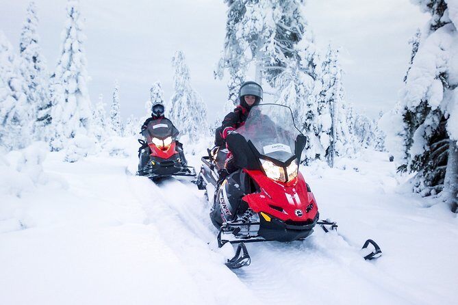 Northern Lights Snowmobile Driving Safari - The Sum Up: Who Is This Tour Best For?