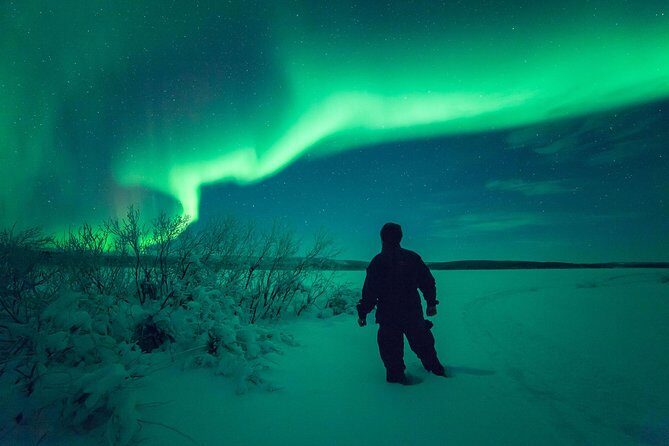 Northern Lights Snowmobile Safari from Rovaniemi with Campfire Picnic - What to Expect on the Tour