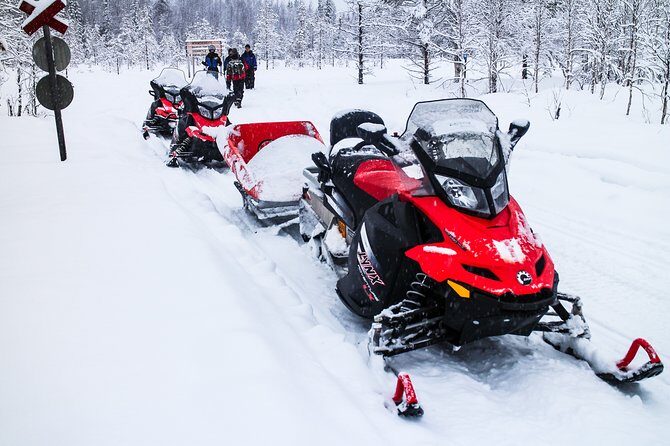 Northern Lights Snowmobile Sleigh Ride - Key Points