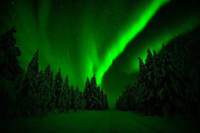 Northern Lights Snowmobile Tour - Real Traveler Perspectives