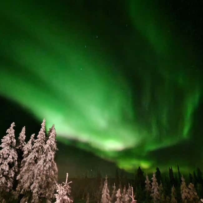 Northern Lights Snowshoe Hike in Levi with Latvian Guide - Key Points