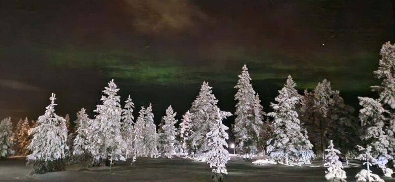 Northern Lights Snowshoe Hike in Levi with Latvian Guide - Who Should Consider This Tour?