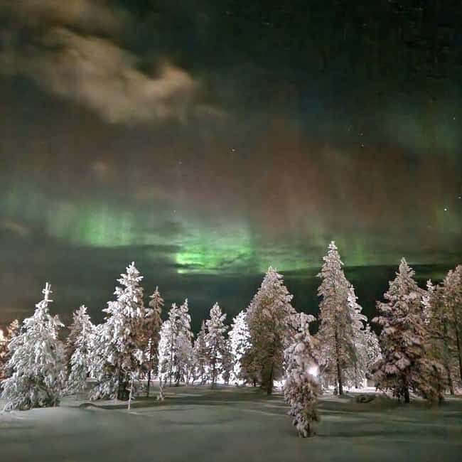 Northern Lights Snowshoe Hike in Levi with Latvian Guide - FAQs