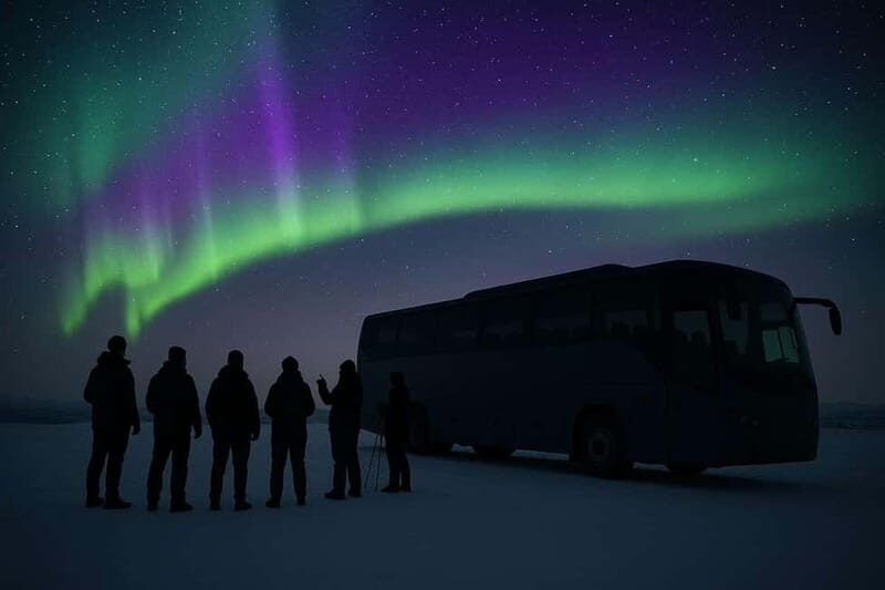 Northern Lights Spotting Tour from the Cruise Harbor - What to Expect from the Northern Lights Spotting Tour