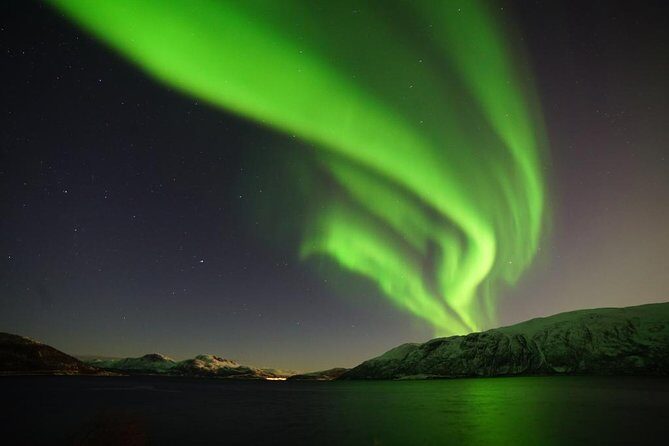 Northern lights - TeslaX Ecofriendly Car - Who It’s Best For