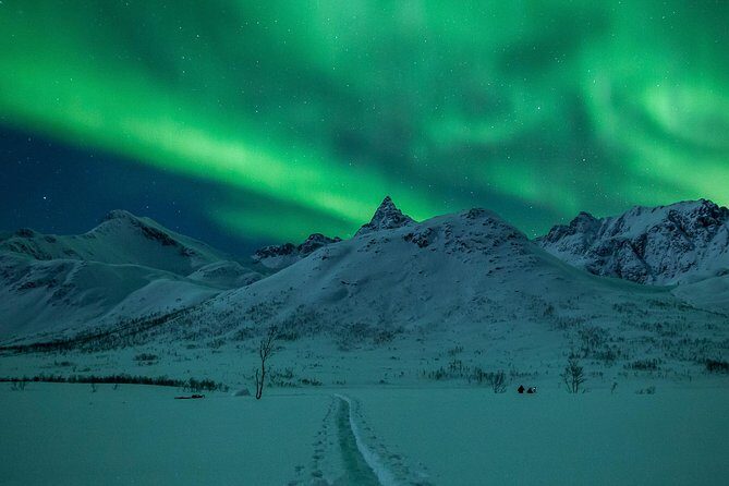 Northern Lights Tour from Tromsø - The Guides Make the Difference