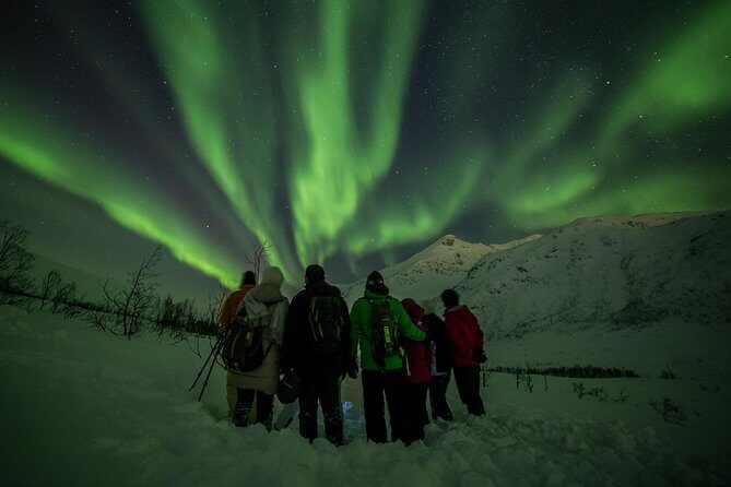 Northern Lights Tour from Tromsø - Practical Logistics You Should Know
