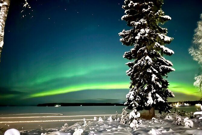 Northern Lights Tour Snowmobile Driving - Key Points