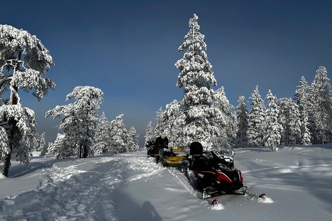 Northern Lights Tour Snowmobile Driving - What to Expect During the Tour