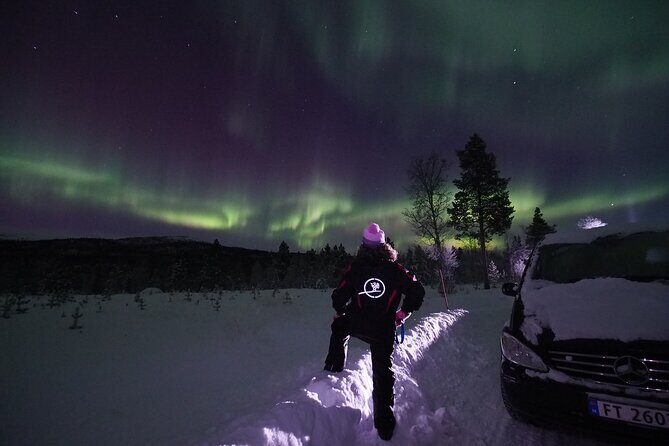 Northern Lights tour with Alta Adventure - Who Should Book This Tour?