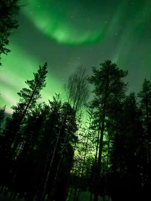 Northern Lights Tour with BBQ and Drinks - The Experience: What to Expect on the Tour