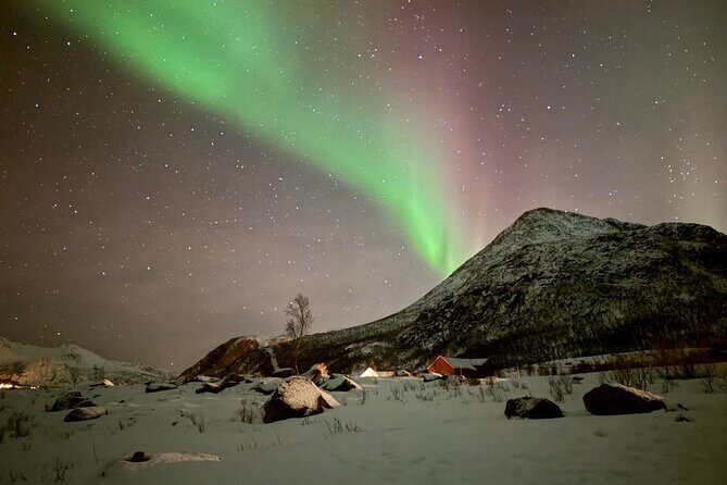 Northern Lights Tour with Hot Food and Drinks in Tromso - The Experience: What to Expect