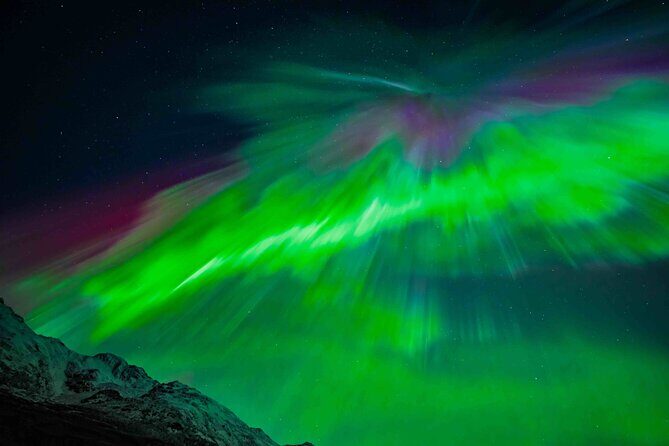 Northern Lights Tour with small group of 8 people - Who Will Love This Tour?