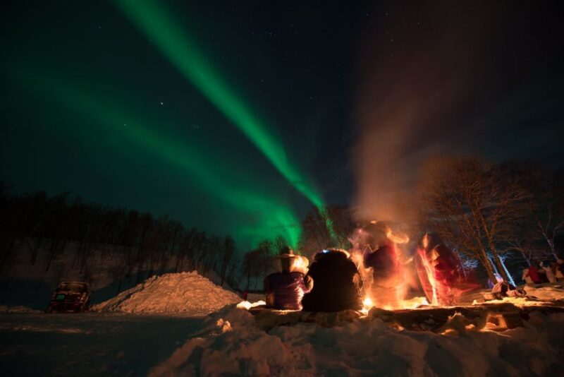 Northern lights Tromsø - small group tour with local guide - Key Points