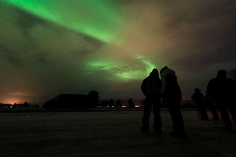Northern lights Tromsø - small group tour with local guide - The Value of This Experience
