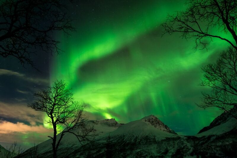 Northern lights Tromsø - small group tour with local guide - Final Thoughts