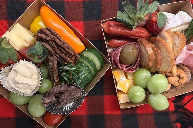 Northern Lights Viewing in a Semi-Private Dome in Whitehorse - The Experience in Practice