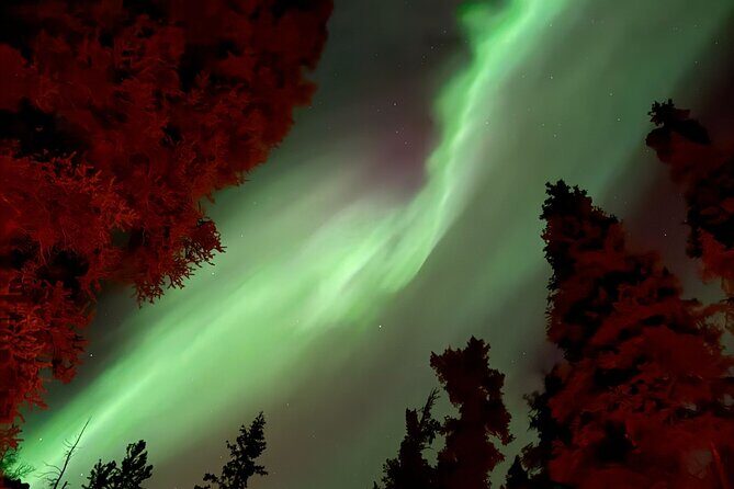 Northern Lights Viewing in a Semi-Private Dome in Whitehorse - Final Thoughts