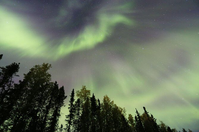 Northern Lights Viewing including Dinner and 1-Hour Dog Sledding - The Experience in Detail