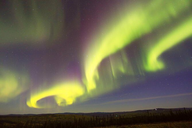 Northern Lights Viewing including Dinner and 1-Hour Dog Sledding - FAQs