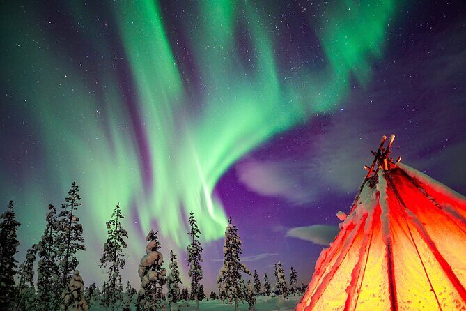 Northern Lights Wilderness Small-Group Tour from Rovaniemi - What to Expect on the Northern Lights Wilderness Tour