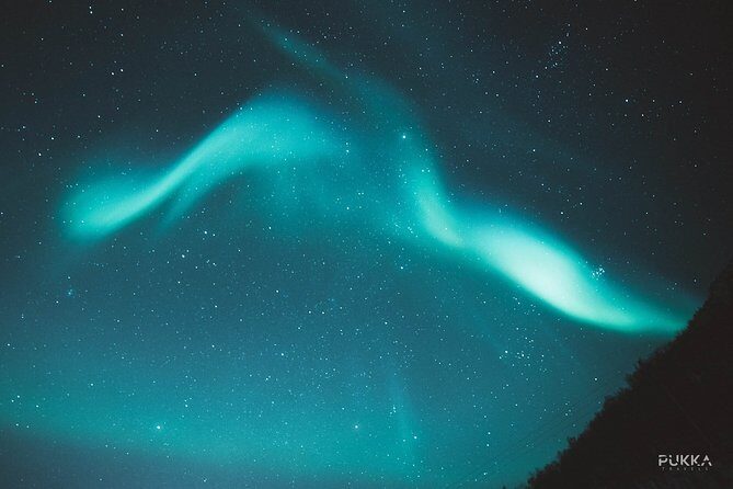 Northern Lights x Mini Bus Chase - The Price: Is It Worth It?