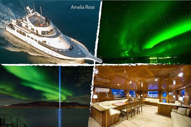 Northern Lights Yacht Cruise in Reykjavik - The Realities of Aurora Viewing