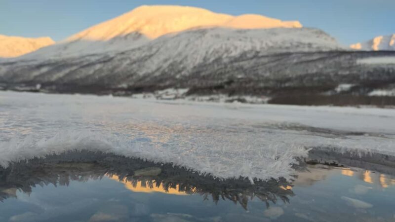 Northern Norway: guided snowshoe tour with a husky - Final Thoughts