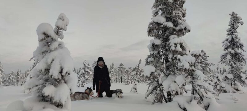 Northern Norway: guided snowshoe tour with a husky - FAQ