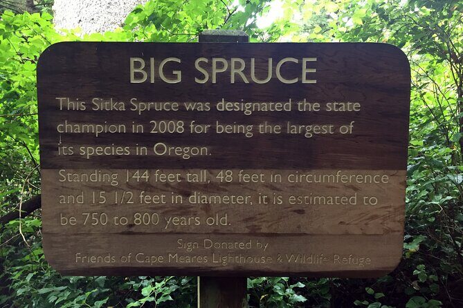 Northern Oregon Coast Day Trip to Three Capes Scenic Loop - FAQs