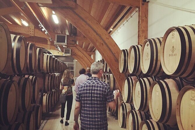 Northern Rhône Valley From Lyon Full day - Final Thoughts on the Experience