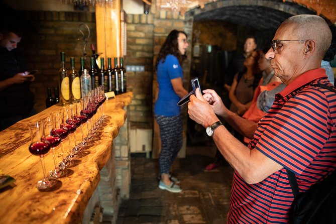 Northern Serbia: Sremski Karlovci and Novi Sad Full-Day Tour from Belgrade - Krušedol Monastery: art, endurance, and named historical remains