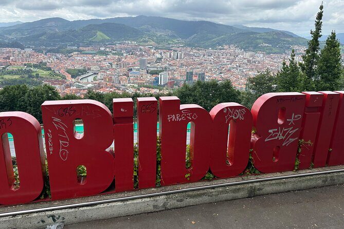 Northern Spain Tour in private 8 - 15 days Spanish English - Who Should Consider This Tour?