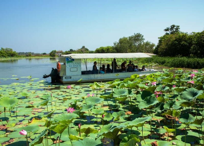 Northern Territory: Corroboree Billabong Nature Cruises - The Guide and the Experience