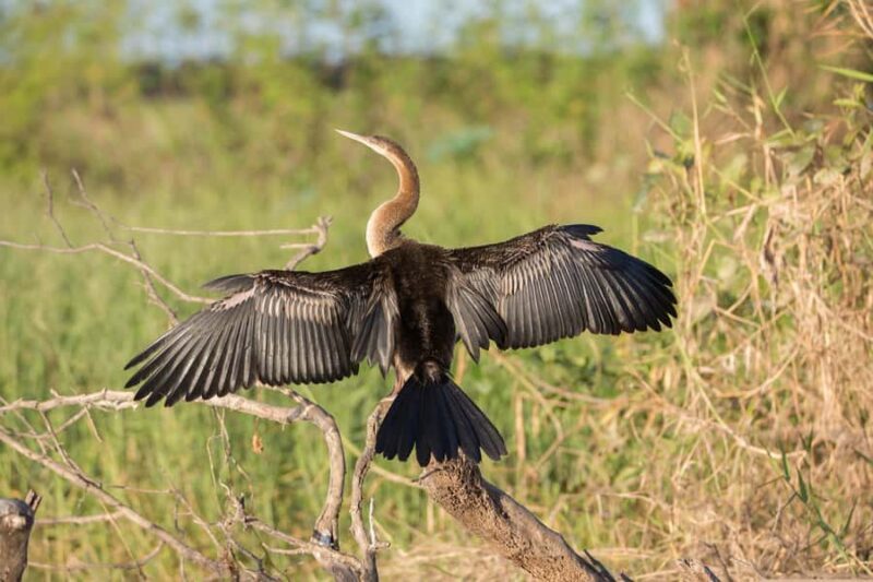Northern Territory: Corroboree Billabong Nature Cruises - FAQ