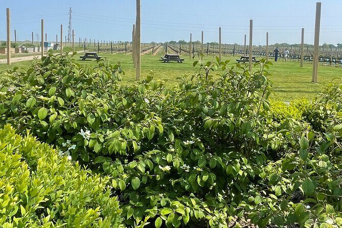 Northport Food and Cultural Tour - Final Thoughts