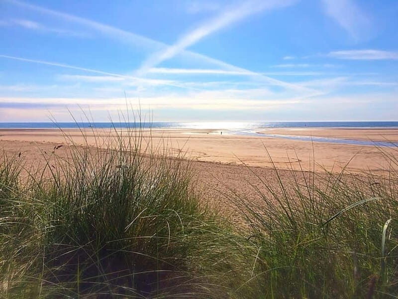 Northumberland: 6 hour Coastal Food Tour - Authentic Reviews and Traveler Feedback