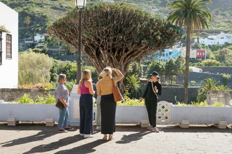 Northwest Tenerife: Villages visit, Lunch, and Tasting Tour - An in-depth look at what this tour offers
